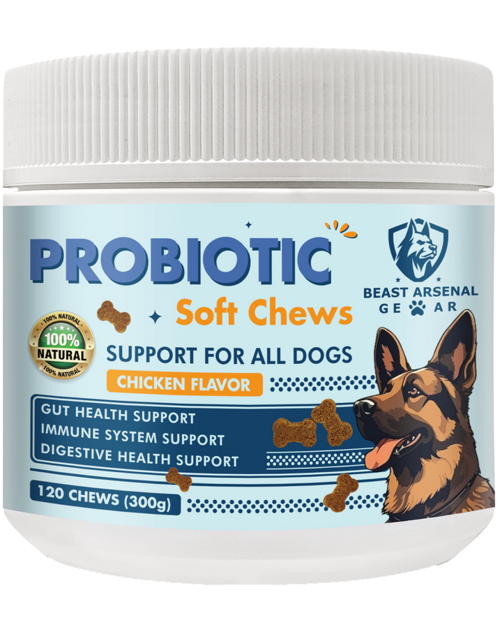 Best probiotics for dogs