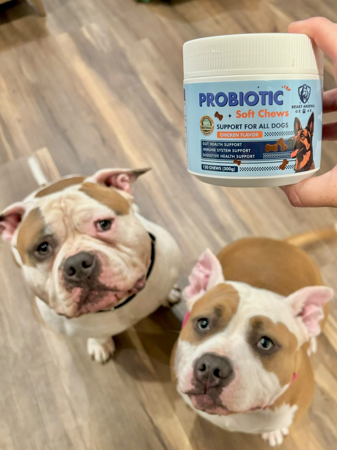 Probiotic Soft Chews for Dogs - Gut Health, Immune System, and Digestive Support