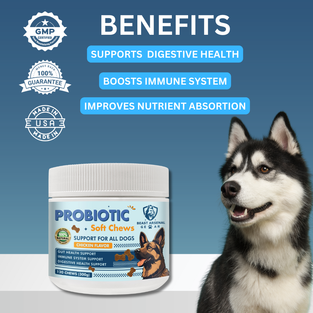 Probiotic Soft Chews for Dogs - Gut Health, Immune System, and Digestive Support