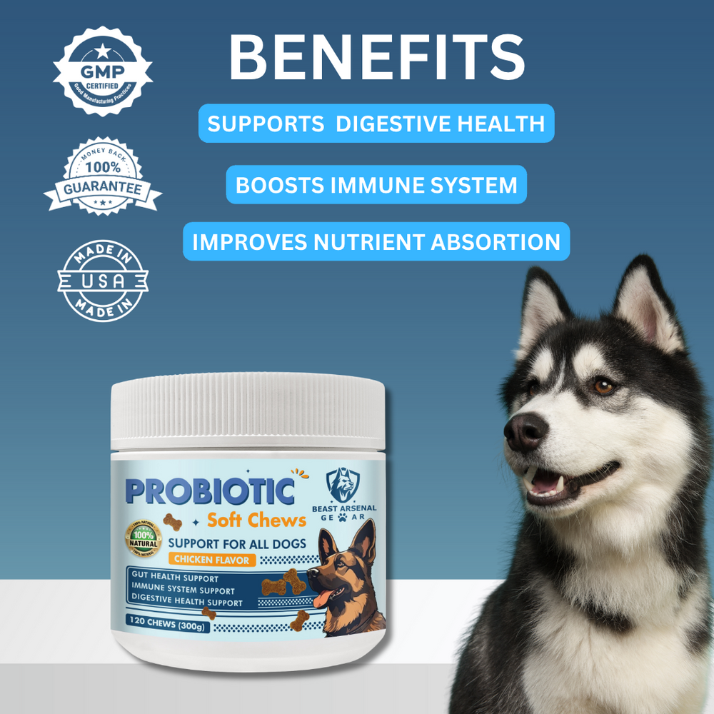 Probiotics for dogs