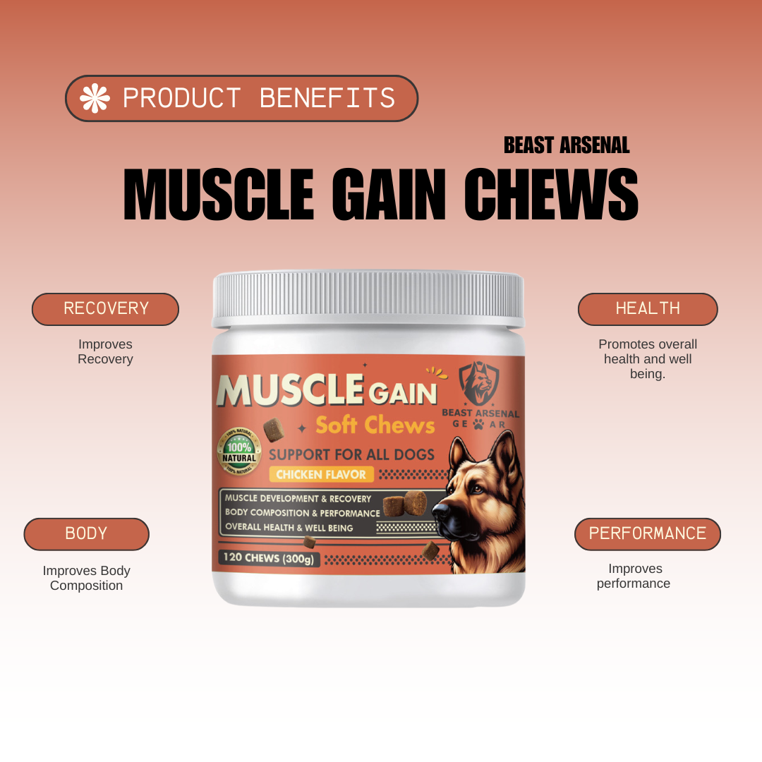 Muscle Gain Soft Chews - Muscle Development, Strength, Performance & Recovery for Dogs