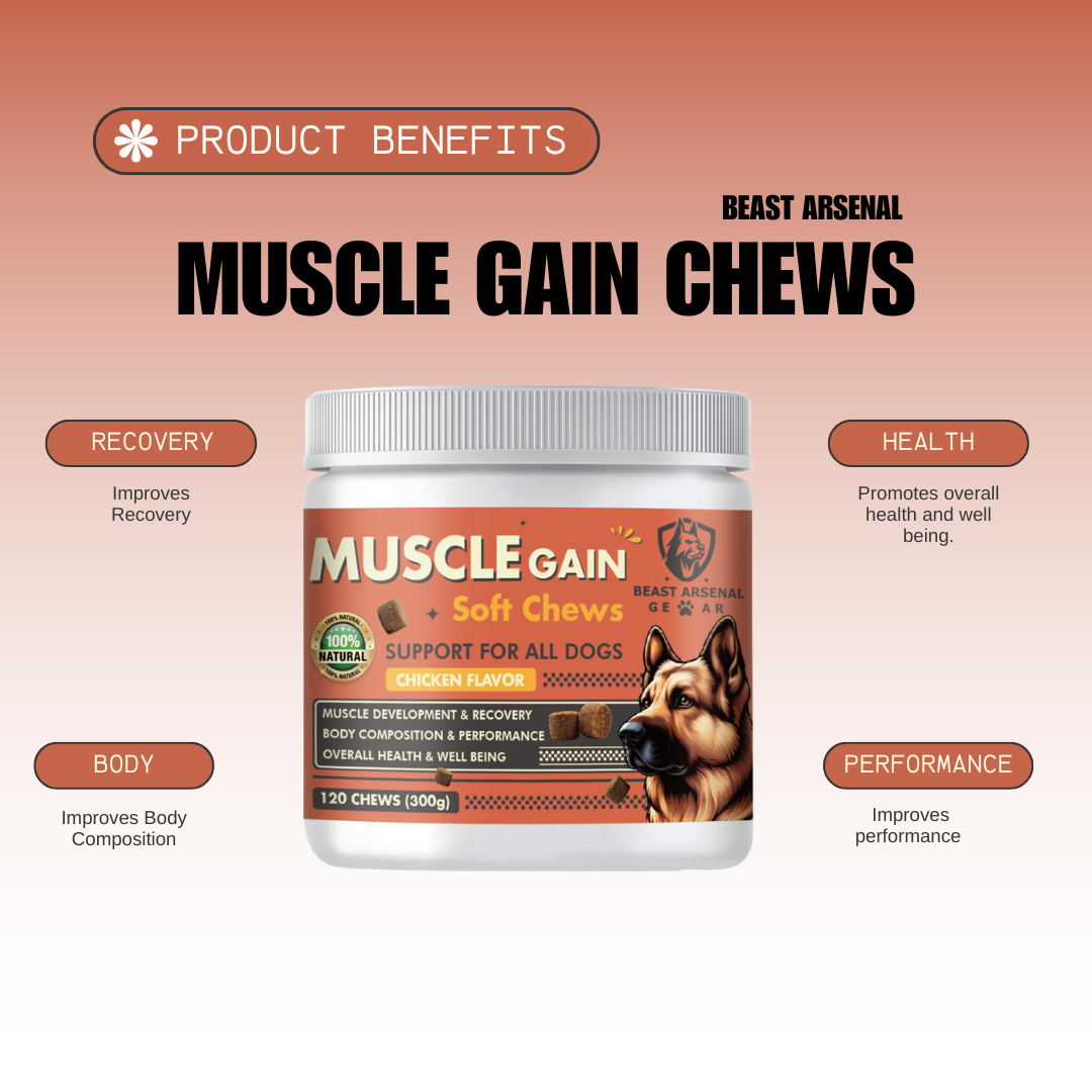 Protein for dogs supplements