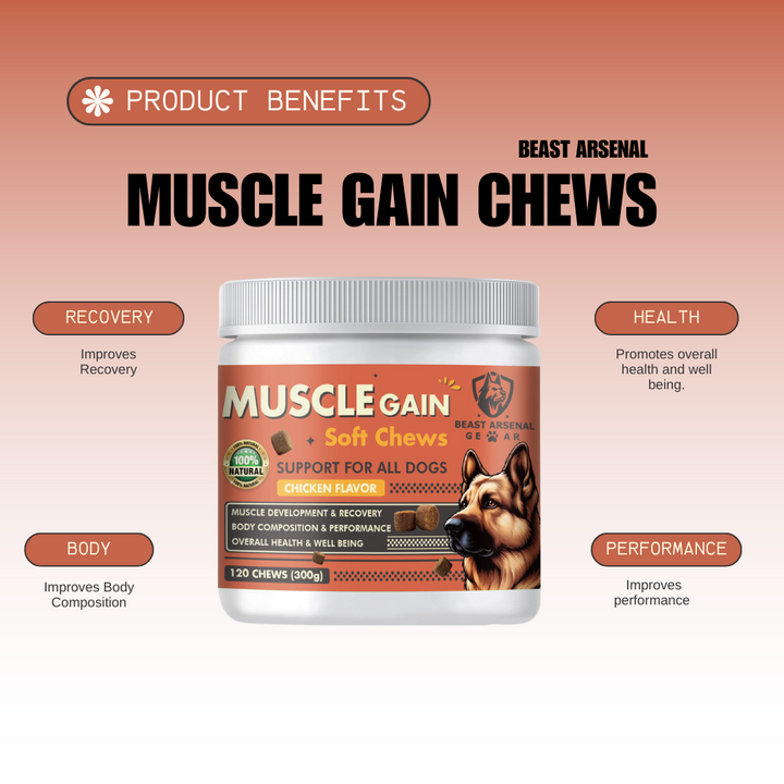 Protein for dogs supplements