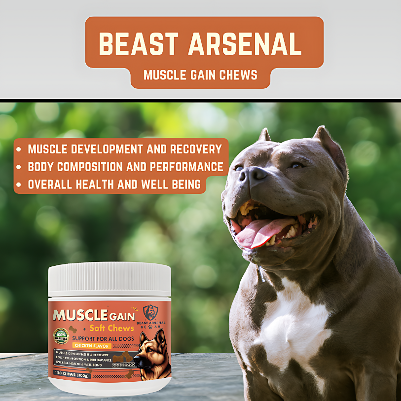 Muscle Gain Soft Chews - Muscle Development, Strength, Performance & Recovery for Dogs