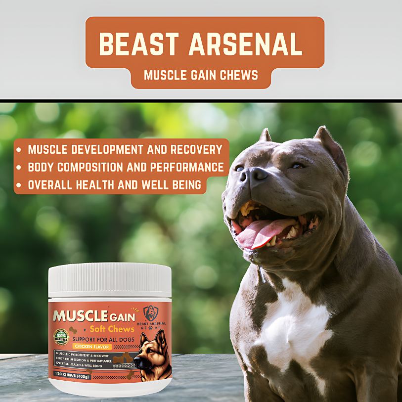 dog protein powder